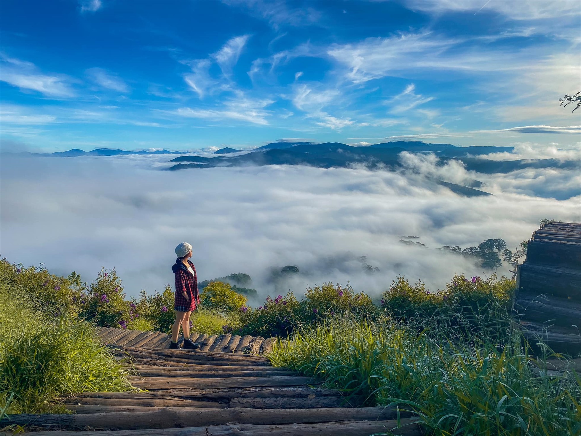 Hướng dẫn săn mây Đà Lạt – Gợi ý top 8 địa điểm săn mây đẹp nhất